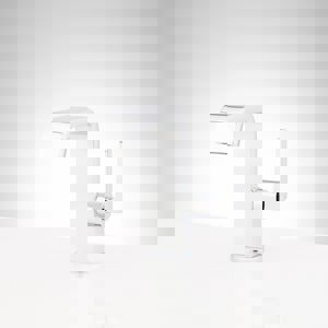 Single Handle Monoblock Bathroom Sink Faucet in Chrome